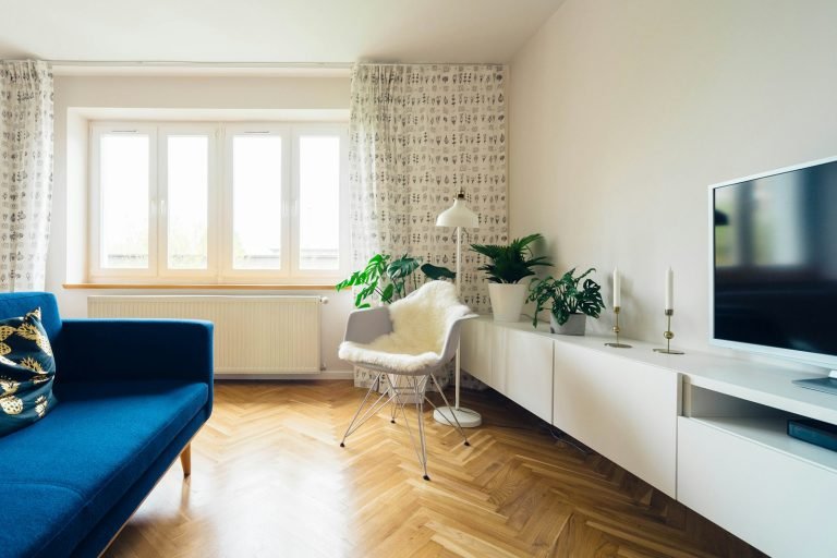 Bright sitting room with blue sofa