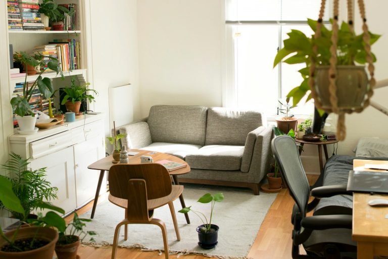 Sitting room with plants and bookshelves